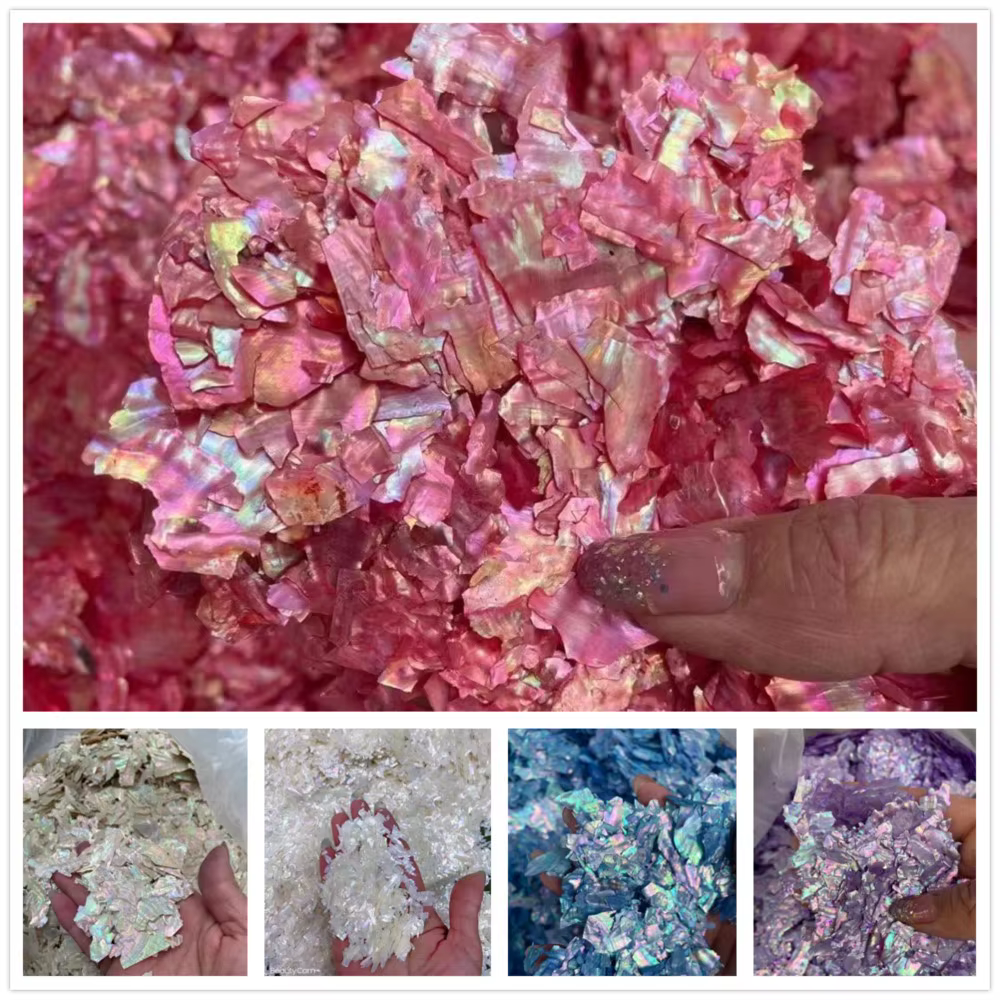 Breloques à ongles en coquillage d'ormeau naturel