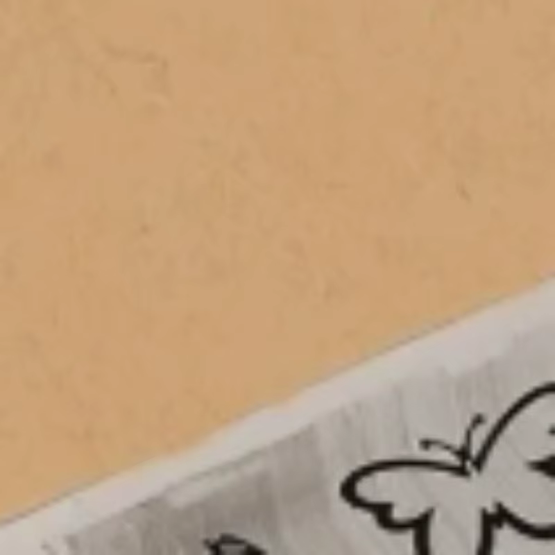 1 pièce Plaque de stamping pour ongles avec 30 motifs