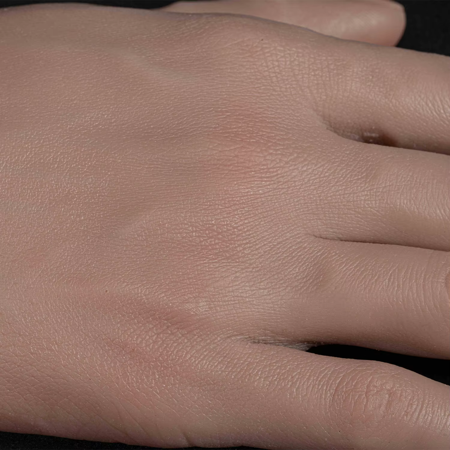 Modèle de main en Silicone