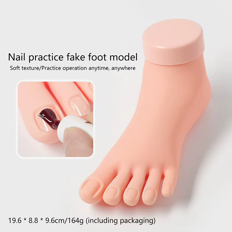 Modèle de formation des ongles des orteils