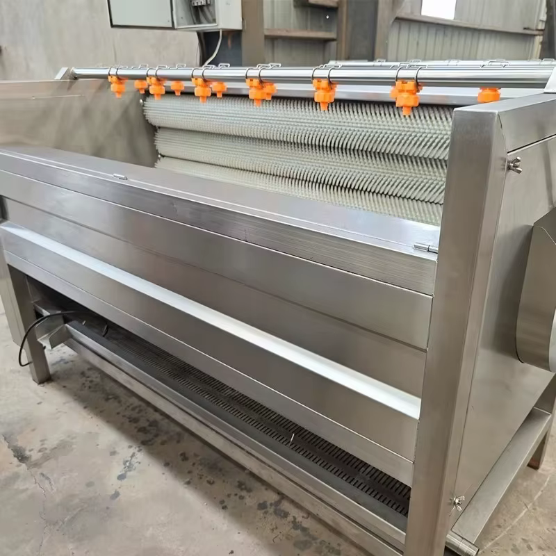 Machine de nettoyage et d'épluchage de rouleaux de cheveux de racine et de tubercule