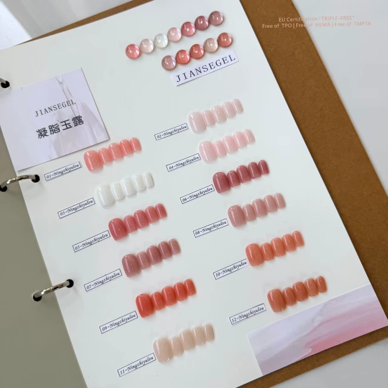 Ensemble de vernis à ongles en gel 12 couleurs pour salons de beauté