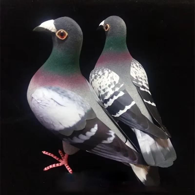 Modèle de Pigeon en mousse de Simulation de grande taille, faux oiseau artificiel, Animal, ornement de jardin de maison, décoration Miniature