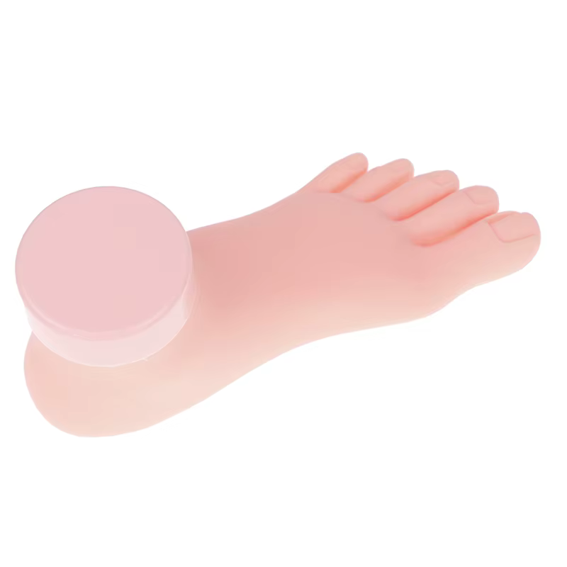Modèle de formation des ongles des orteils