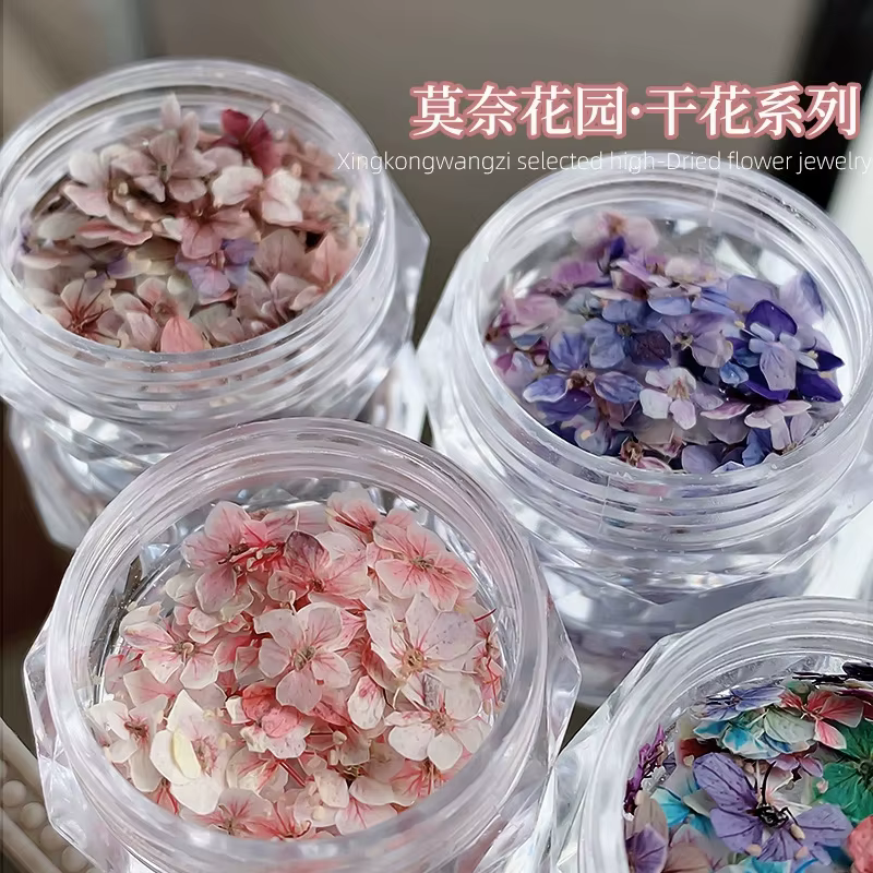 1 boîte de mini fleurs séchées véritables pour la décoration d'ongles