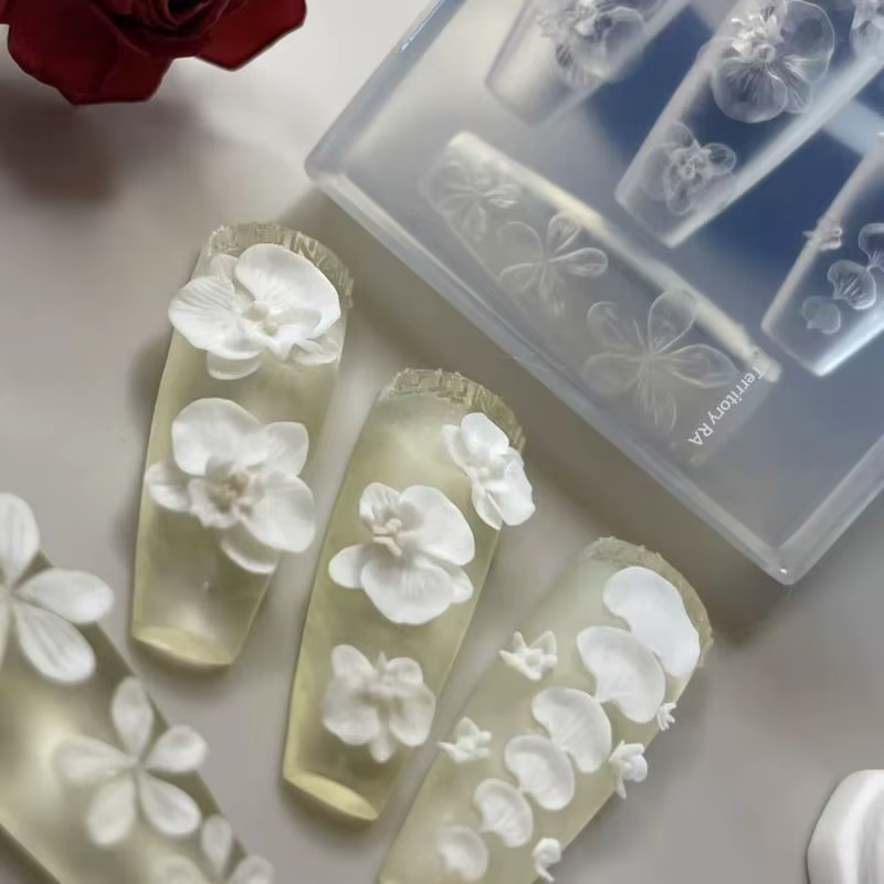 Moule à ongles en Silicone Transparent 3D
