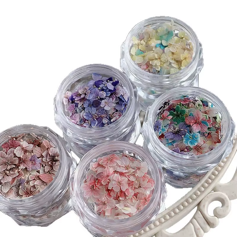 1 boîte de mini fleurs séchées véritables pour la décoration d'ongles