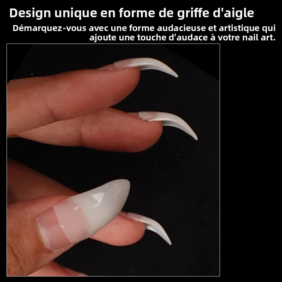 100 faux ongles artistiques en forme de griffe d'aigle
