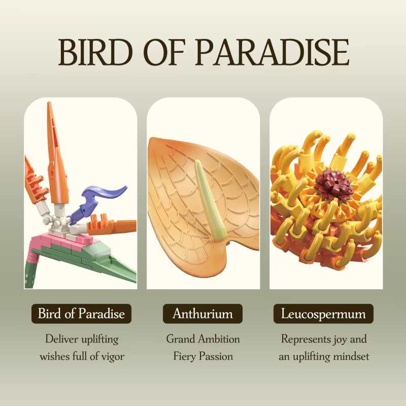 Ensemble de blocs de construction oiseau de paradis tropical, modèle de la série fleurs, parfait pour collectionner ou offrir en cadeau