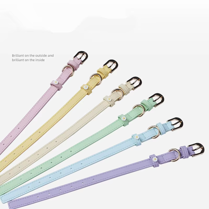 Collier en cuir PU pour animal de compagnie, accessoires mignons pour chien, ULde traction en alliage, boucle de cou pour chat, nounours et schnauzer, détruire et décorer