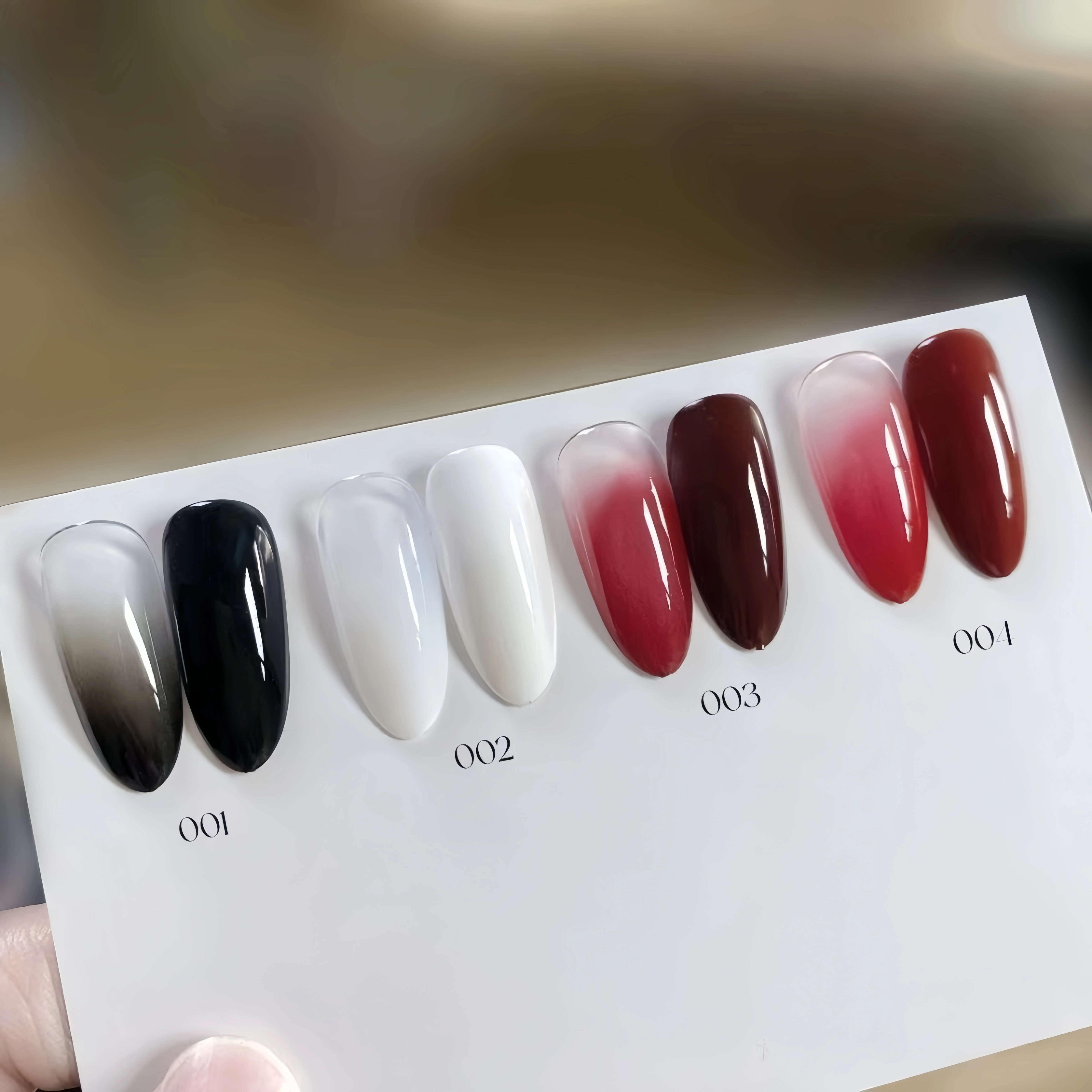 Gel de peinture pour ongles 4 couleurs (noir