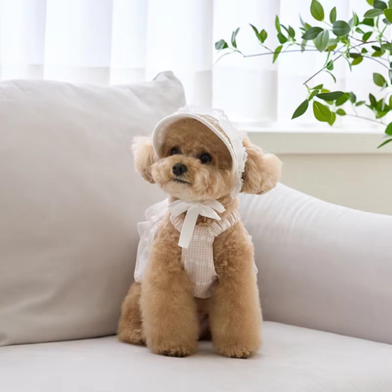 Chapeau de paille en dentelle française pour chien, accessoires décoratifs élégants pour animaux de compagnie, crème solaire d'été, robe Lolita, ours en peluche