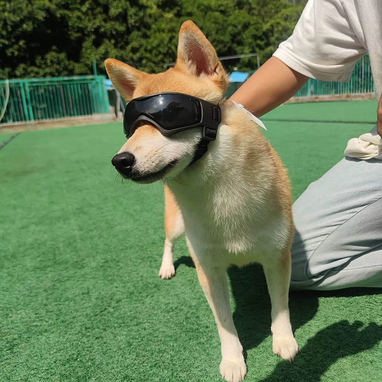 Accessoires pour animaux de compagnie chien Protection UV extérieure lunettes de soleil chat chien lunettes pour petite taille moyenne chiot lunettes sangles réglables