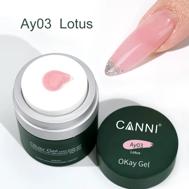 CANNI 30g gelée Rose Extension Gel constructeur rapide Gel à ongles tremper UV LED Construction pompe à Air Sculpture