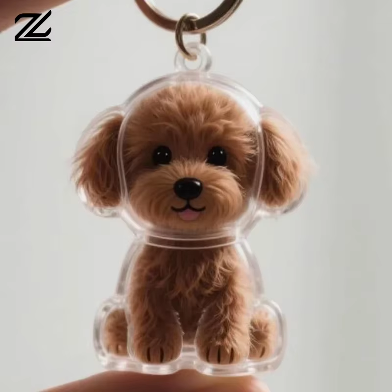 Porte-clés de rangement pour poils de chien, pendentif mignon pour sac, Couple, voiture, bijoux, Collection Souvenir, cadeau, accessoires de décoration
