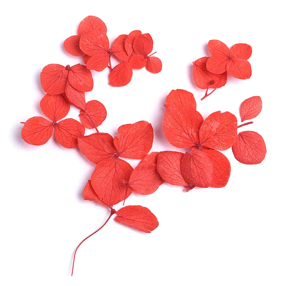 Fleurs séchées en 3D pour décoration des ongles