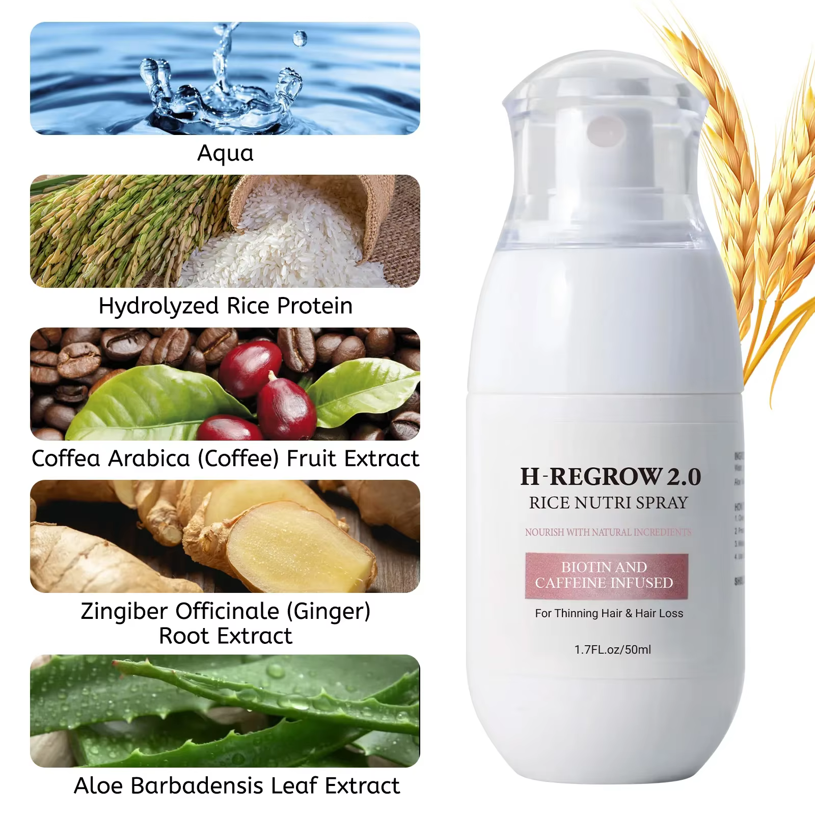 Spray capillaire à l'eau de riz pour renforcer les follicules pileux, épaissir les racines, prévenir la chute, nourrir et adoucir les cheveux, soin capillaire pour cheveux clairsemés