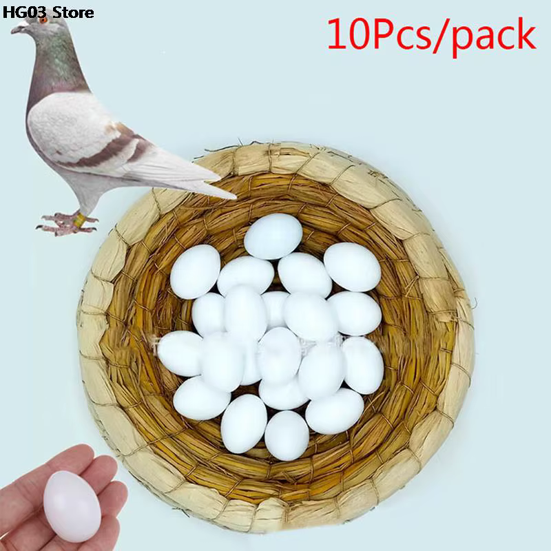 10 pièces faux oeufs en plastique Pigeon oeuf solide Pigeon faux oeuf Pigeon à couver fournitures 2.5cm x 3.5cm