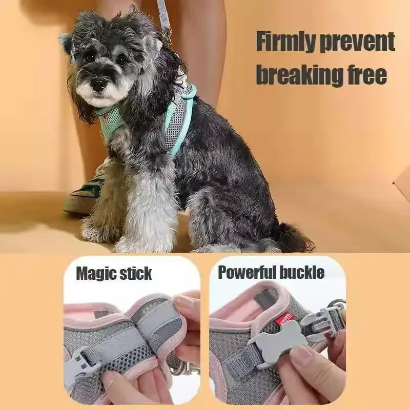 Accessoires pour chiens et chats, collier pour petits chiens, gilet de sécurité, corde de poitrine pour animaux de compagnie, couverture pour chiens, harnais respirant et réglable, fournitures, produi