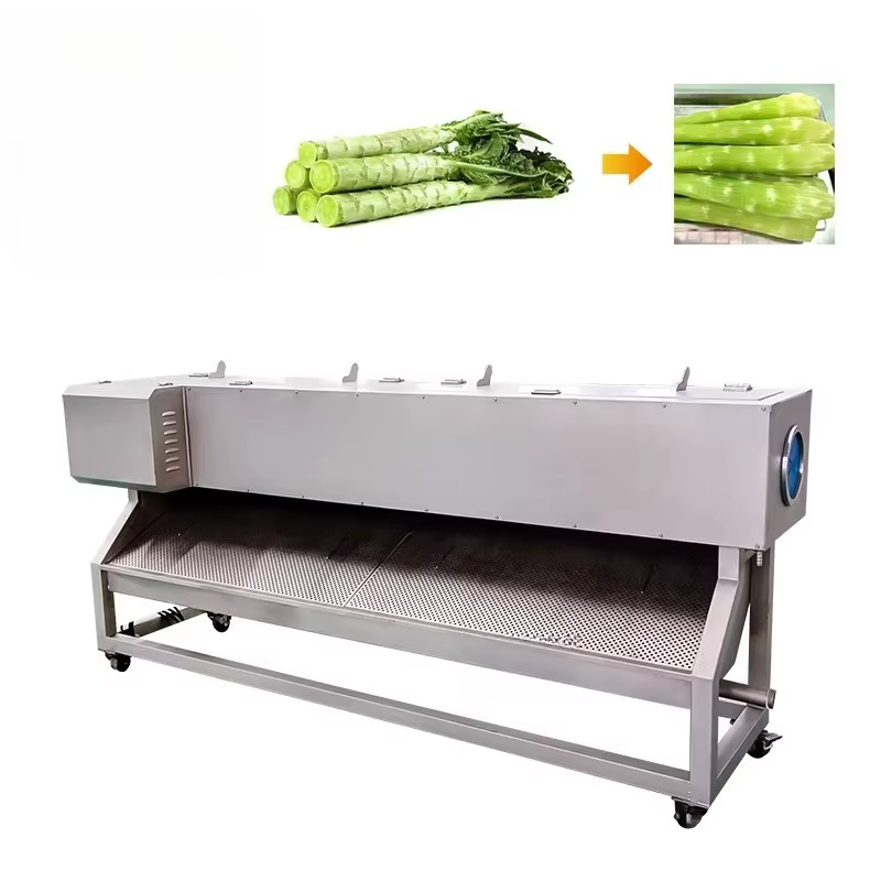 Machine à éplucher les racines en acier inoxydable, Machine à éplucher et à laver les Yam, éplucheur d'aubergine, Machine d'élimination de la peau des carottes, personnalisée