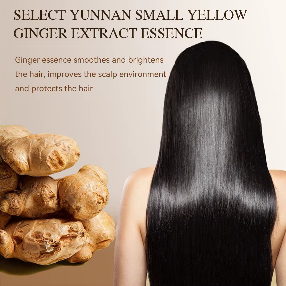 Shampoing à l'huile essentielle de gingembre pour la croissance des cheveux, soin naturel Anti-perte de cheveux, prévient les cheveux secs, crépus et endommagés, réparation