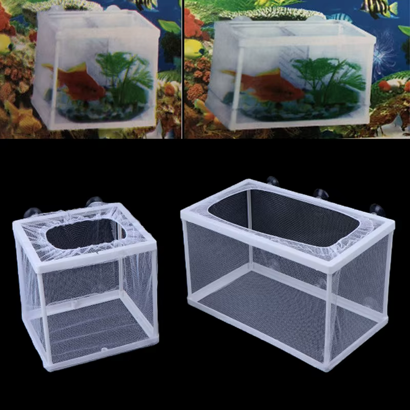 Filet d'incubateur d'élevage de poissons, boîte d'isolation suspendue pour Aquarium