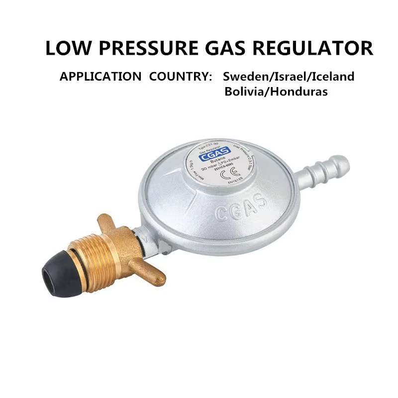 Régulateur de gaz basse pression GPL pour cuisson domestique, vanne de réduction de pression, adaptateur de gaz pour barbecue et cuisinière, accessoire pour Israël